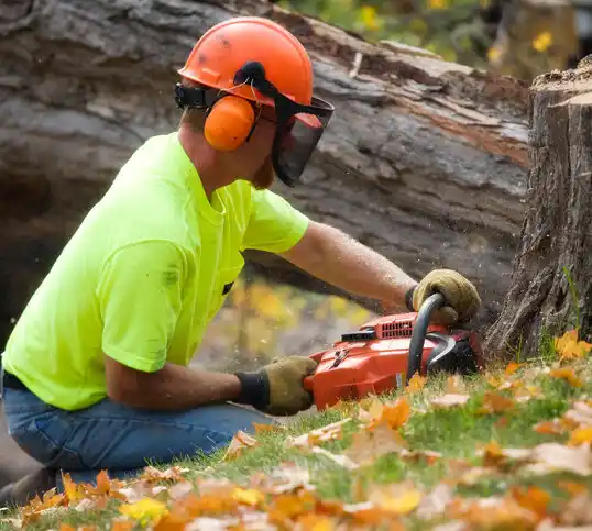 tree services Rolette